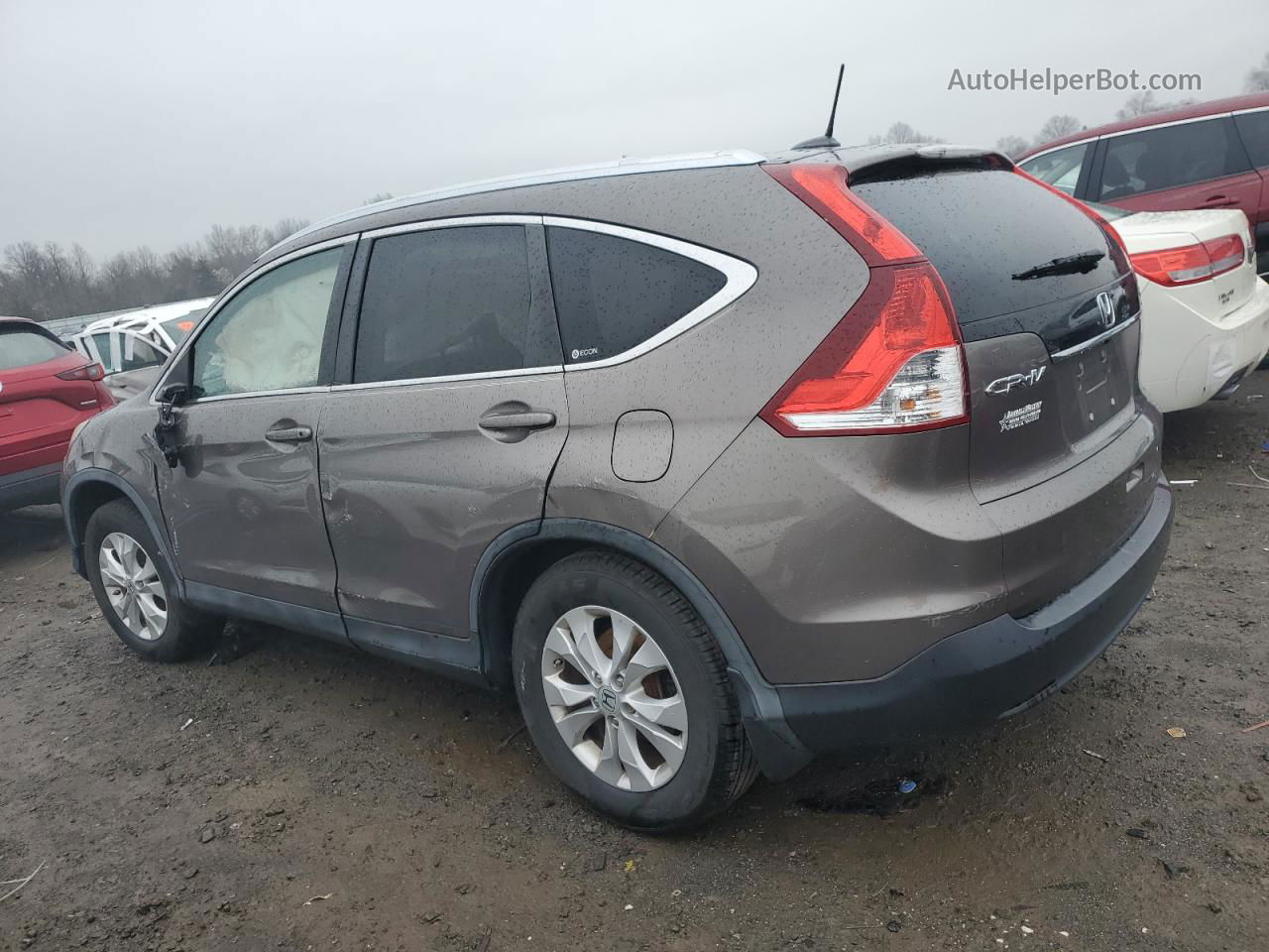 2012 Honda Cr-v Exl Gray vin: 5J6RM3H76CL039350