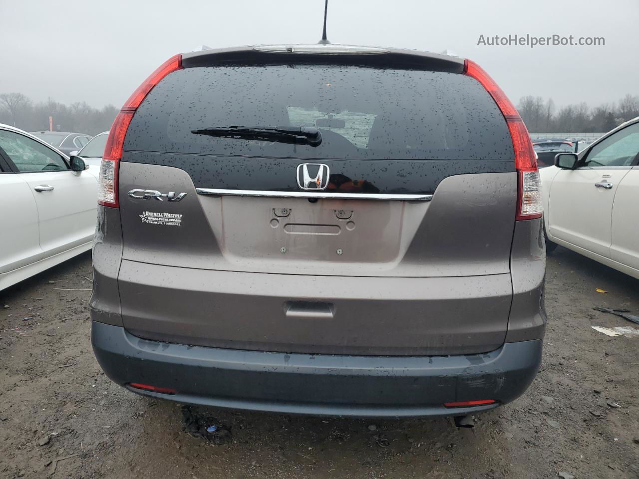 2012 Honda Cr-v Exl Gray vin: 5J6RM3H76CL039350