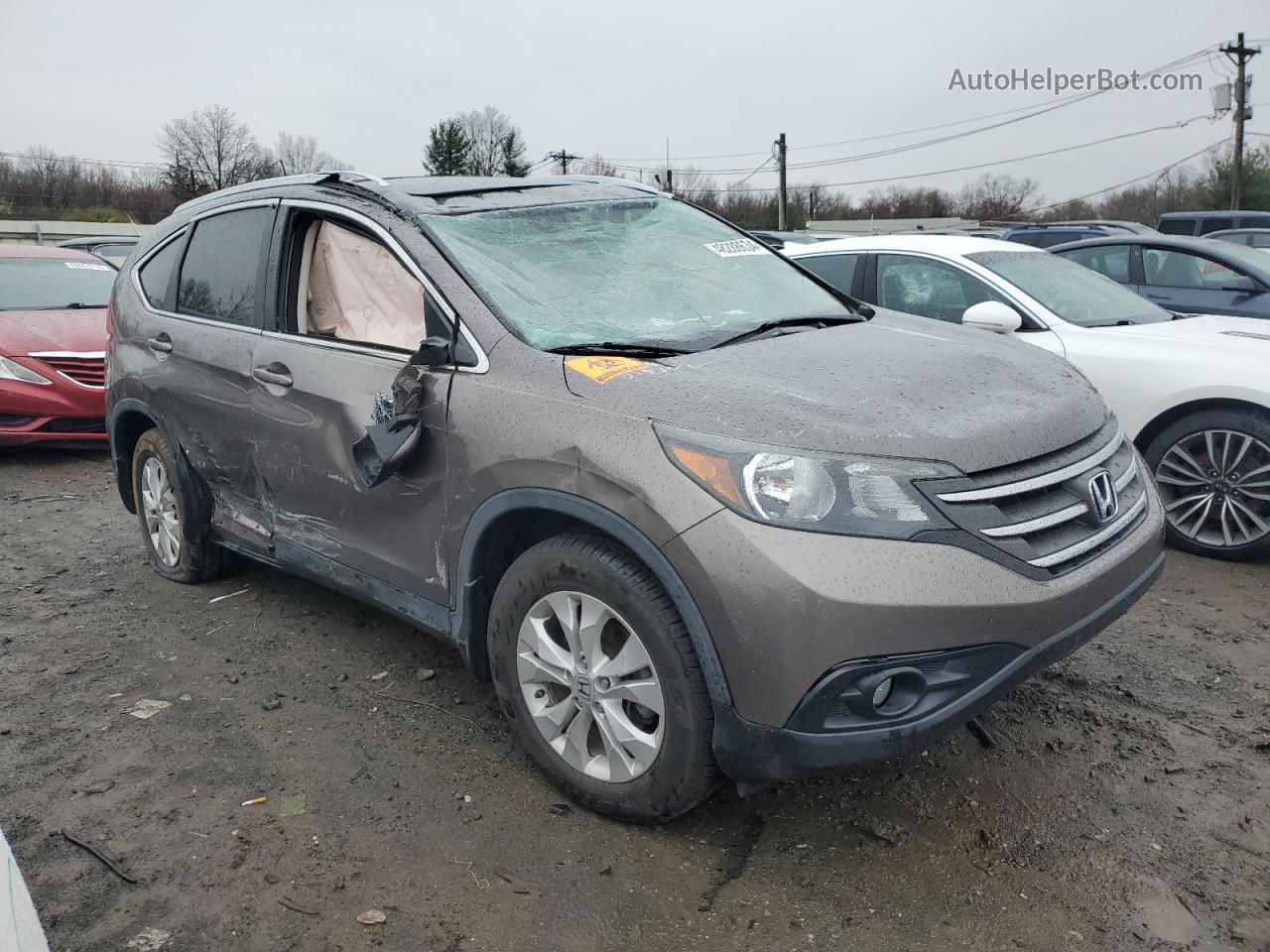 2012 Honda Cr-v Exl Gray vin: 5J6RM3H76CL039350