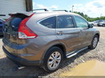 2012 Honda Cr-v Ex-l Коричневый vin: 5J6RM3H78CL002087