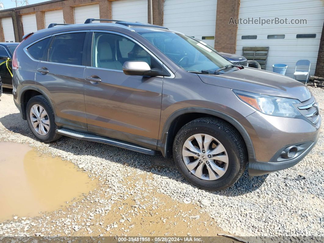 2012 Honda Cr-v Ex-l Коричневый vin: 5J6RM3H78CL002087