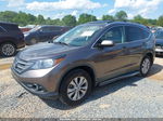 2012 Honda Cr-v Ex-l Коричневый vin: 5J6RM3H78CL002087