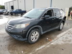 2013 Honda Cr-v Exl Black vin: 5J6RM3H79DL040655