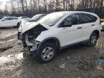 2013 Honda Cr-v Lx Белый vin: 5J6RM4H32DL054738