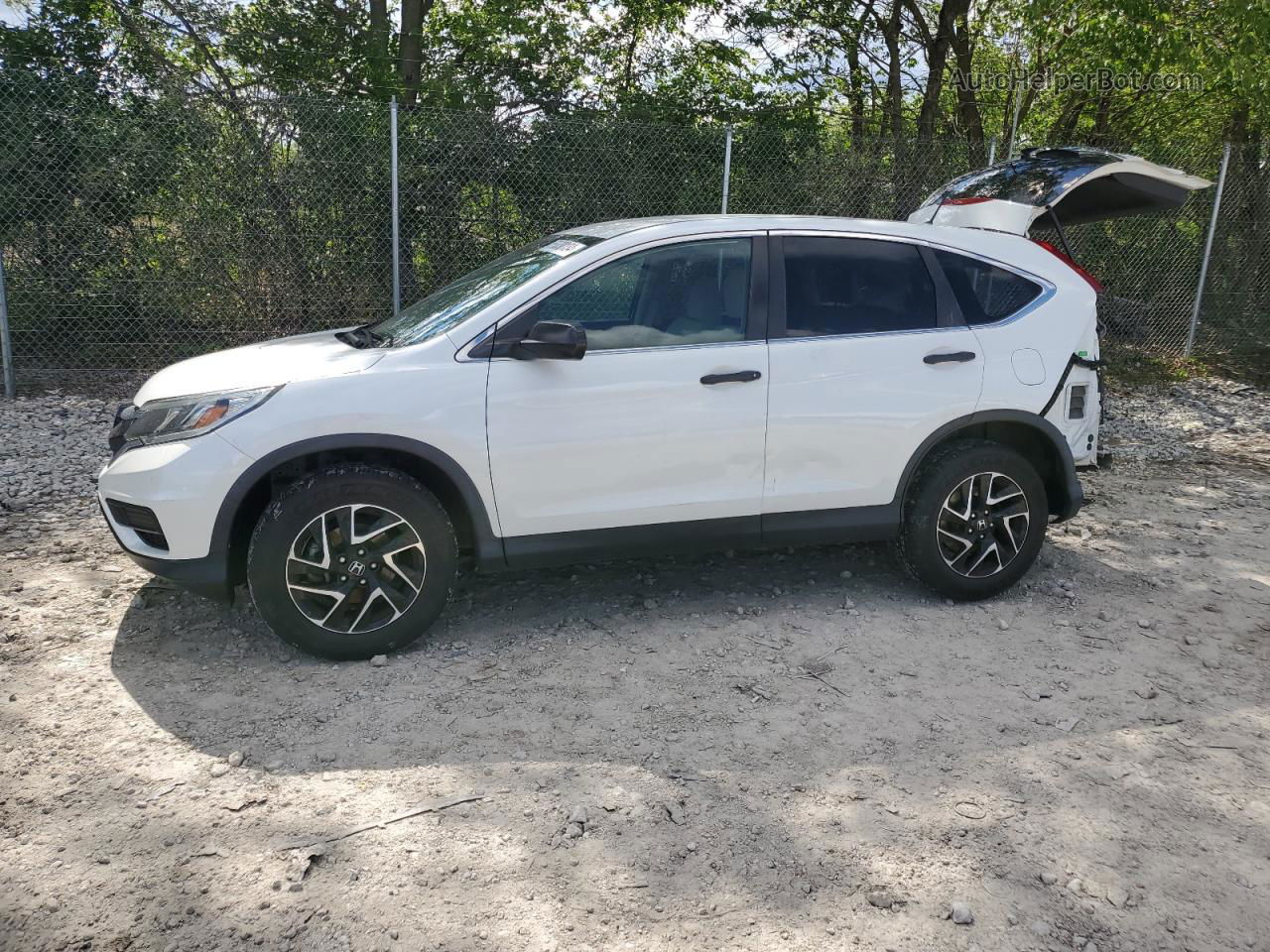 2016 Honda Cr-v Se White vin: 5J6RM4H41GL025745