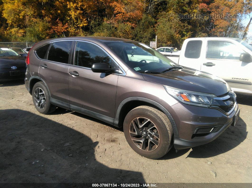 2016 Honda Cr-v Se Gray vin: 5J6RM4H41GL069860