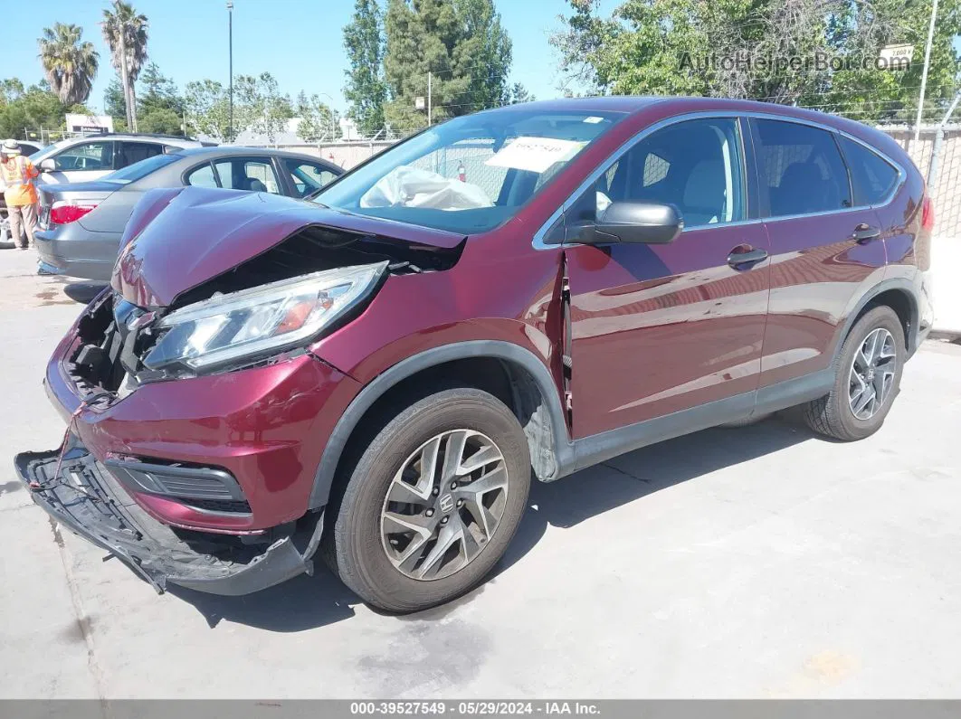 2016 Honda Cr-v Se Maroon vin: 5J6RM4H47GL044705