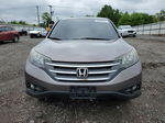 2012 Honda Cr-v Ex Gray vin: 5J6RM4H50CL004033