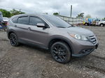 2012 Honda Cr-v Ex Gray vin: 5J6RM4H50CL004033