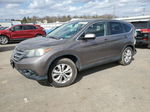 2013 Honda Cr-v Ex Серый vin: 5J6RM4H50DL051113