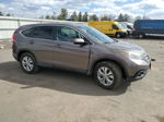 2013 Honda Cr-v Ex Серый vin: 5J6RM4H50DL051113