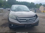 2013 Honda Cr-v Ex Gray vin: 5J6RM4H52DL029422