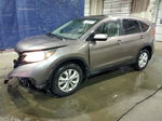 2013 Honda Cr-v Ex Tan vin: 5J6RM4H53DL029431