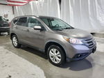 2012 Honda Cr-v Ex Brown vin: 5J6RM4H59CL033398