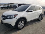 2012 Honda Cr-v Exl Белый vin: 5J6RM4H70CL008987