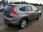 2012 Honda Cr-v Exl Gray vin: 5J6RM4H70CL066033