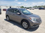 2012 Honda Cr-v Exl Коричневый vin: 5J6RM4H70CL072575