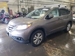 2013 Honda Cr-v Exl Gray vin: 5J6RM4H70DL022471