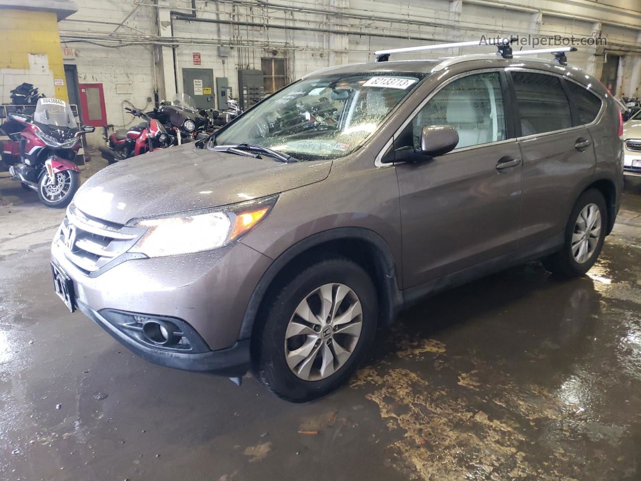 2013 Honda Cr-v Exl Gray vin: 5J6RM4H70DL022471