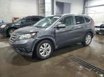 2012 Honda Cr-v Exl Gray vin: 5J6RM4H71CL041903