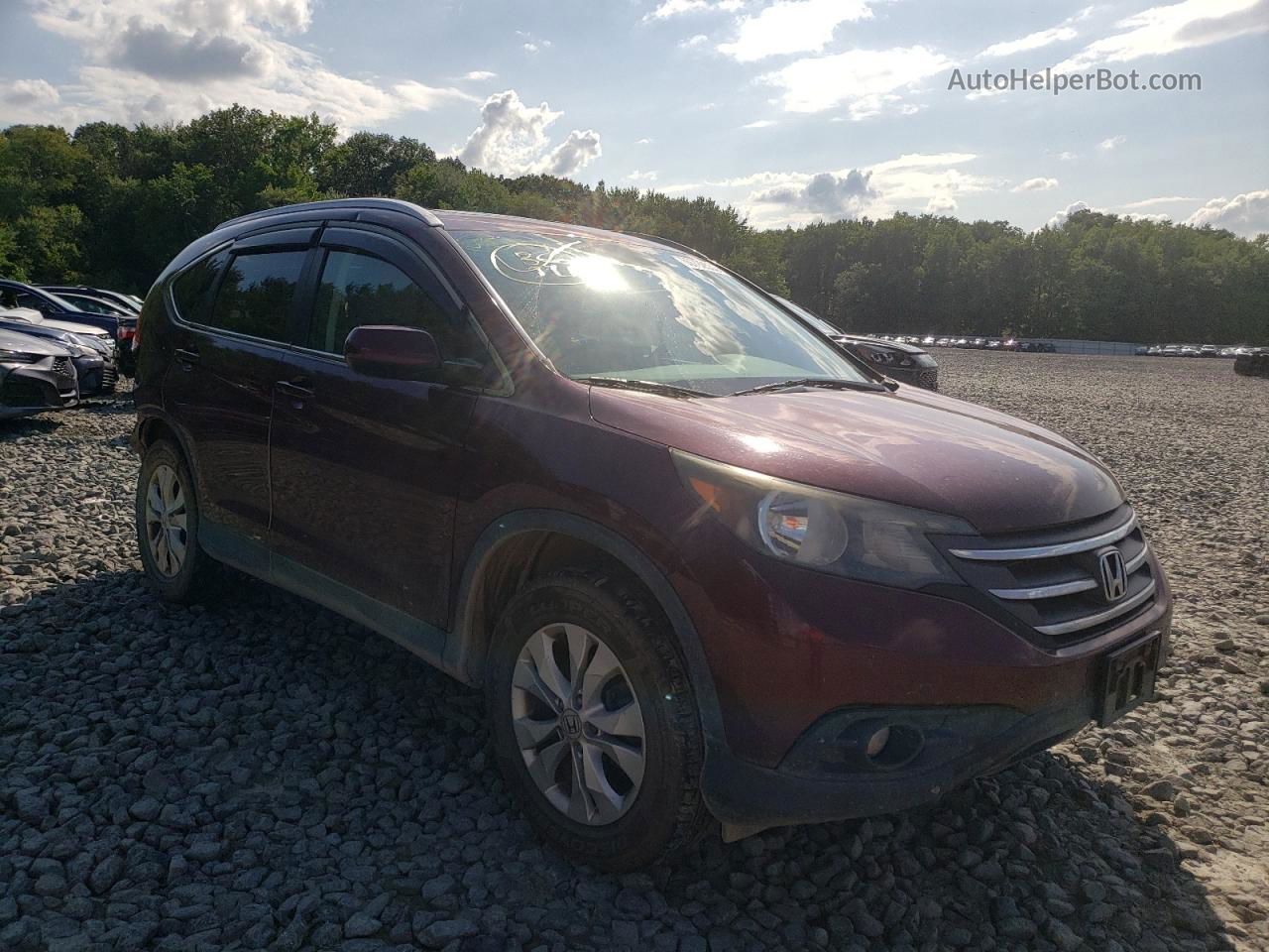 2013 Honda Cr-v Exl Burgundy vin: 5J6RM4H71DL006621