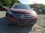 2013 Honda Cr-v Exl Burgundy vin: 5J6RM4H71DL006621