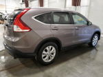 2013 Honda Cr-v Exl Brown vin: 5J6RM4H71DL050361