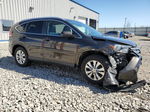 2013 Honda Cr-v Exl Коричневый vin: 5J6RM4H71DL072635