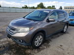 2012 Honda Cr-v Exl Brown vin: 5J6RM4H72CL030327