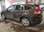 2013 Honda Cr-v Exl Brown vin: 5J6RM4H72DL083546