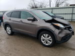 2012 Honda Cr-v Exl Brown vin: 5J6RM4H73CL050800