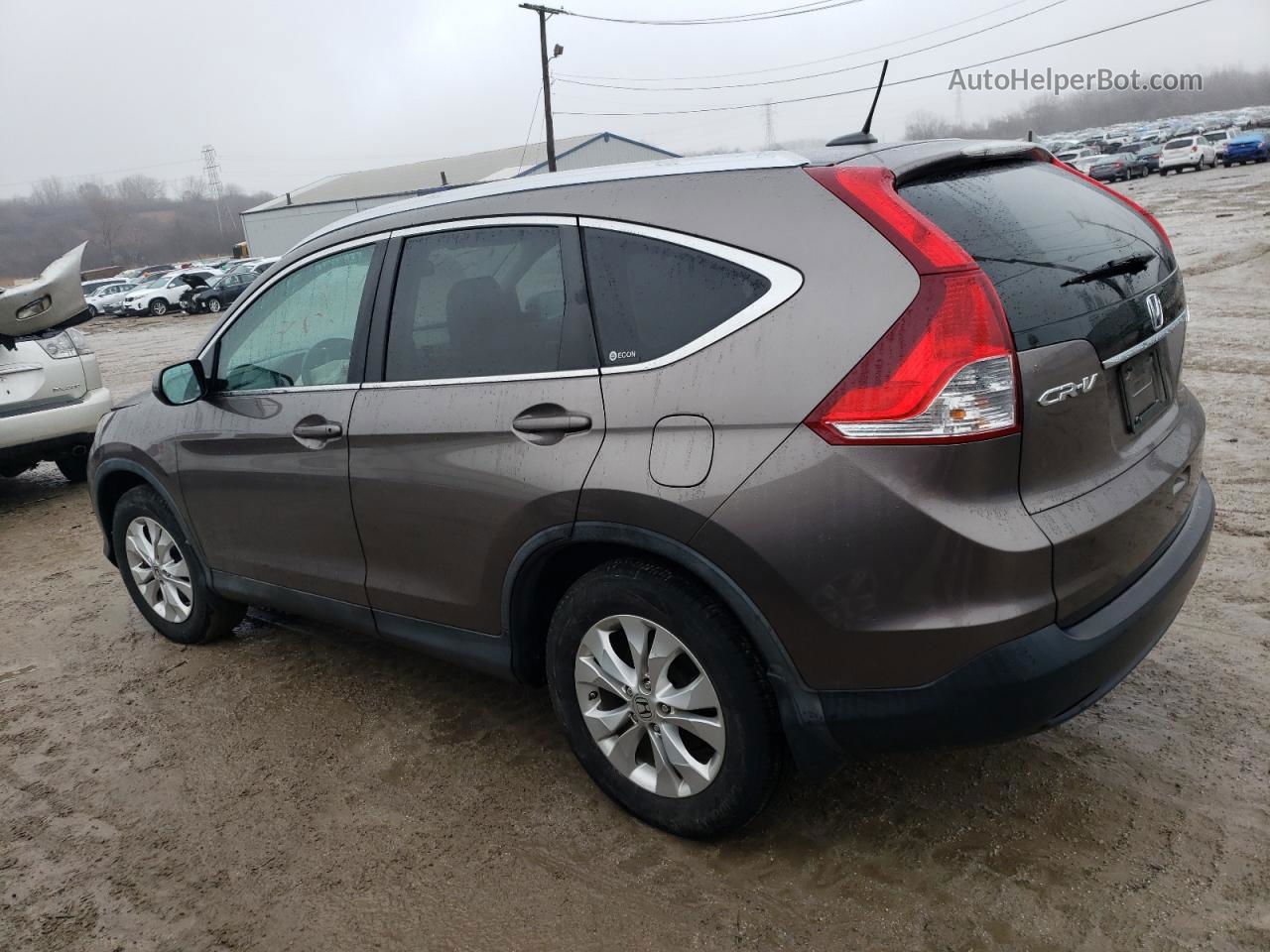 2012 Honda Cr-v Exl Brown vin: 5J6RM4H73CL050800