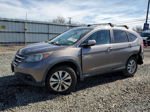 2012 Honda Cr-v Exl Gray vin: 5J6RM4H73CL059738