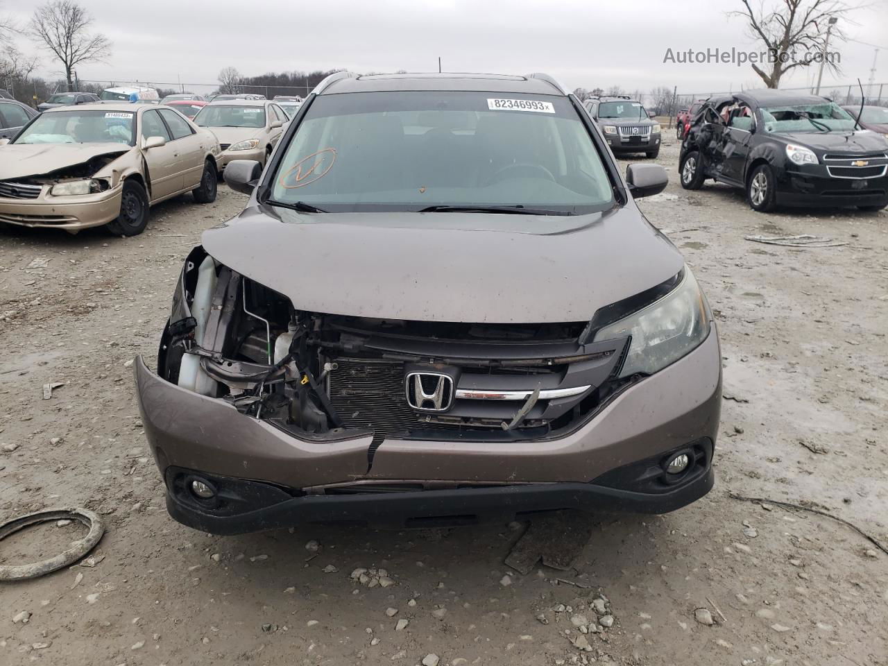 2012 Honda Cr-v Exl Gray vin: 5J6RM4H73CL080038