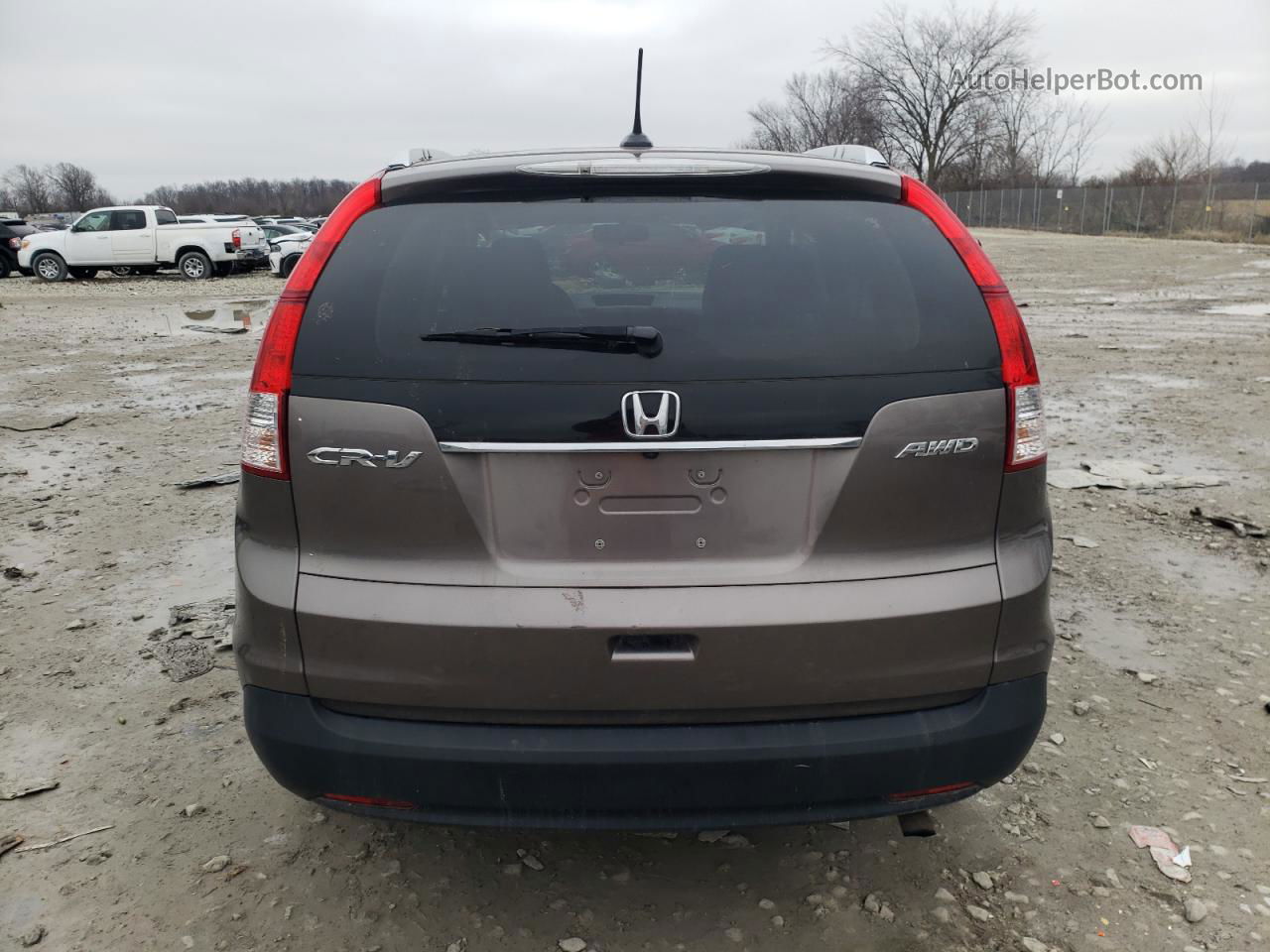 2012 Honda Cr-v Exl Gray vin: 5J6RM4H73CL080038