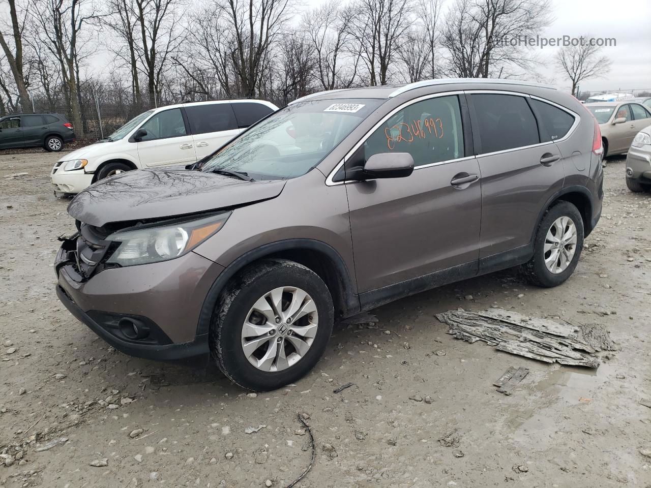 2012 Honda Cr-v Exl Gray vin: 5J6RM4H73CL080038