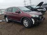 2013 Honda Cr-v Exl Бордовый vin: 5J6RM4H73DL031214