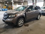 2012 Honda Cr-v Exl Brown vin: 5J6RM4H74CL006126