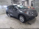 2012 Honda Cr-v Ex-l Серый vin: 5J6RM4H74CL009642