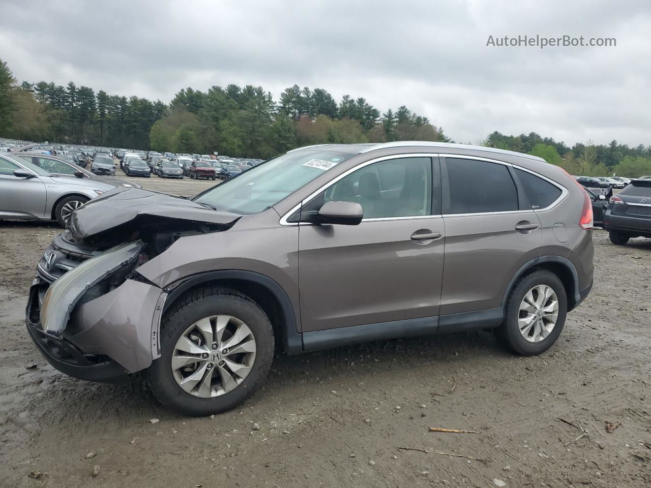 2012 Honda Cr-v Exl Коричневый vin: 5J6RM4H74CL011956