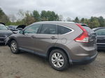 2012 Honda Cr-v Exl Коричневый vin: 5J6RM4H74CL011956