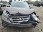 2012 Honda Cr-v Exl Коричневый vin: 5J6RM4H74CL011956