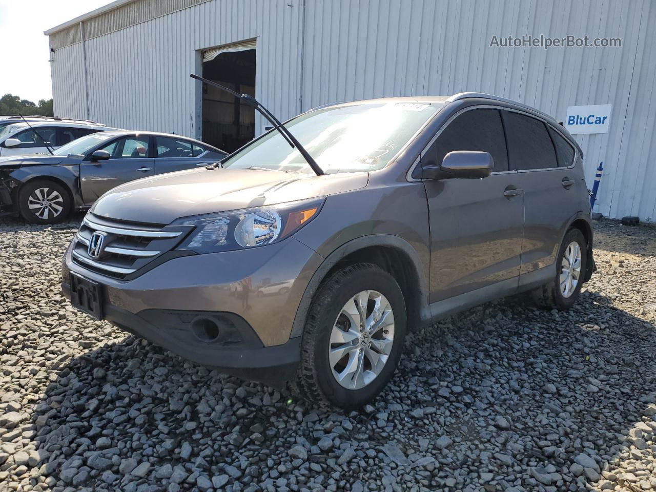 2012 Honda Cr-v Exl Brown vin: 5J6RM4H74CL039515