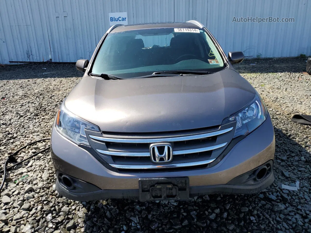 2012 Honda Cr-v Exl Brown vin: 5J6RM4H74CL039515