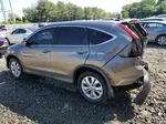 2012 Honda Cr-v Exl Brown vin: 5J6RM4H74CL039515