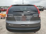 2012 Honda Cr-v Exl Gray vin: 5J6RM4H74CL071137