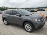 2012 Honda Cr-v Exl Gray vin: 5J6RM4H74CL071137