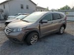 2012 Honda Cr-v Exl Gray vin: 5J6RM4H74CL083336