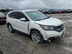 2013 Honda Cr-v Exl Белый vin: 5J6RM4H74DL019167