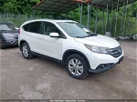 2013 Honda Cr-v Ex-l White vin: 5J6RM4H74DL027835